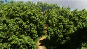 Bamboo Pass (Lost Island).png