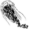 Cnidaria.png