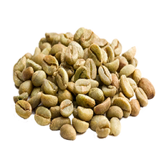 Coffee Seed (Primitive Plus).png