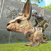 Chibi-Procoptodon in game.jpg
