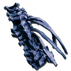 Alpha Reaper King Barb.png
