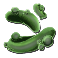 Reaper Pheromone Gland.png