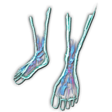 HomoDeus Boots Skin.png