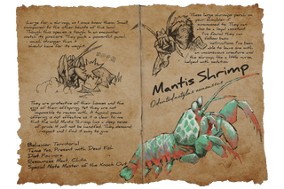 Dossier Mantis Shrimp.png
