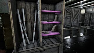 Bookshelf PaintRegion3.jpg