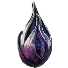 Plant Species Z Fruit.png