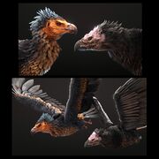 Аргентавис — Вики ARK - RUSSIA