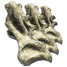 Sauropod Vertebra.png