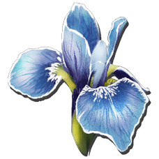 Rare Flower.png