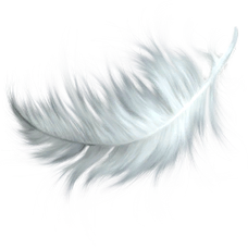 Feathers (Primitive Plus).png