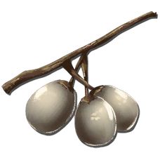 Stimberry.png