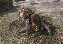 Chibi-Broodmother in game.png