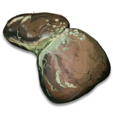 Infected Liver.png