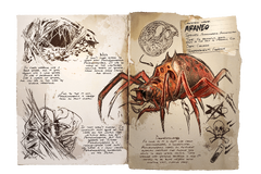 Dossier Araneo.png