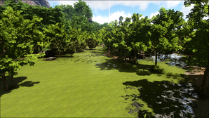 Turtleback Swamp (Lost Island).png