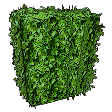 Mobile Box Hedge.png