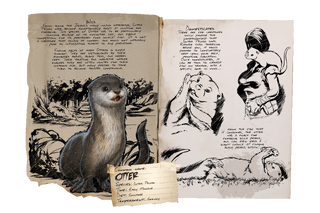 Dossier Otter.png