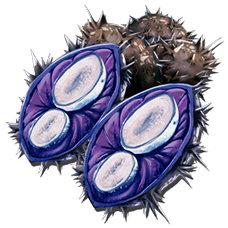 Plant Species X Seed.png