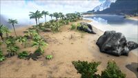 Biome Beach.jpg