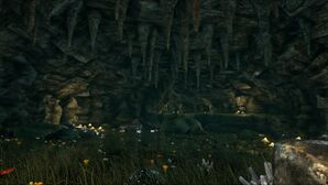 West Lava Cave (The Center).jpg