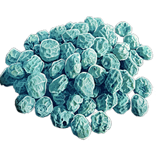 Cianberry Seed.png
