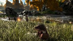 ARK30.jpg