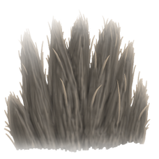 Pelt.png