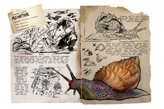 Dossier Achatina.png