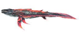 Astrocetus PaintRegion0.png