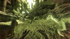 Primal Survival 1.jpg