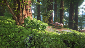 Biome Redwood.png