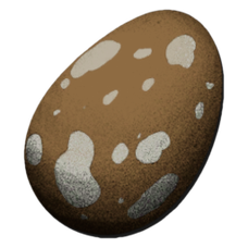 Compy Egg.png