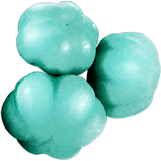Cianberry.png
