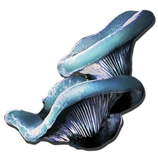 Aquatic Mushroom.png