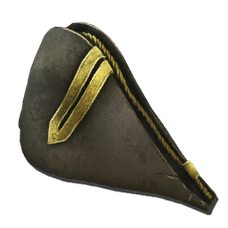 Captain's Hat Skin.png