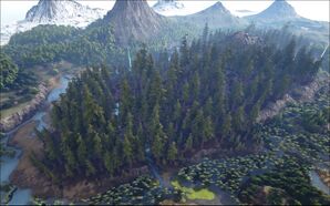 Redwood Forests.jpg