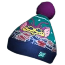 Noglin Regift Winter Beanie Skin.png