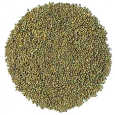 Sugarcane Seed (Primitive Plus).png