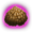 Superior Kibble.png