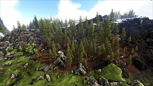 Wyvern Forests (Ragnarok).jpg