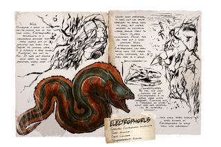 Dossier Electrophorus.png
