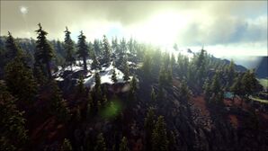 Light Redwoods (Ragnarok).jpg