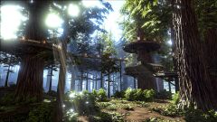 ARK41.jpg