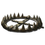 Large Bear Trap