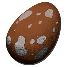 Basic Maewing Egg.png