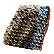Fish Scale.png