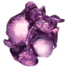 Plant Proto Species R-1 Seed.png