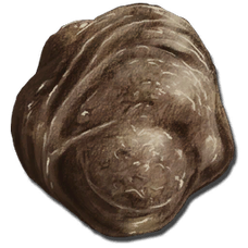 Feces.png