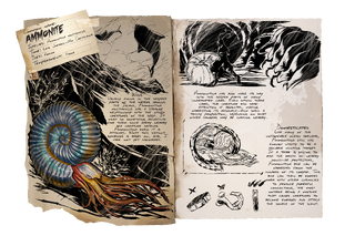 Dossier Ammonite.png