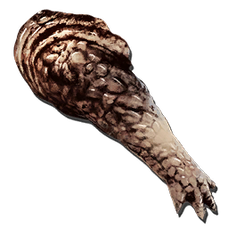 Alpha Carnotaurus Arm.png